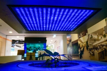 2017-05-03-Pasona-Indoor-Plants-DSC00849