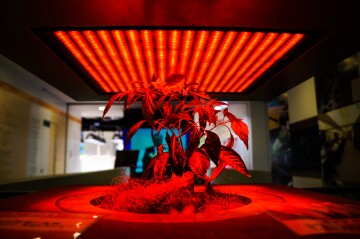 2017-05-03-Pasona-Indoor-Plants-DSC00850