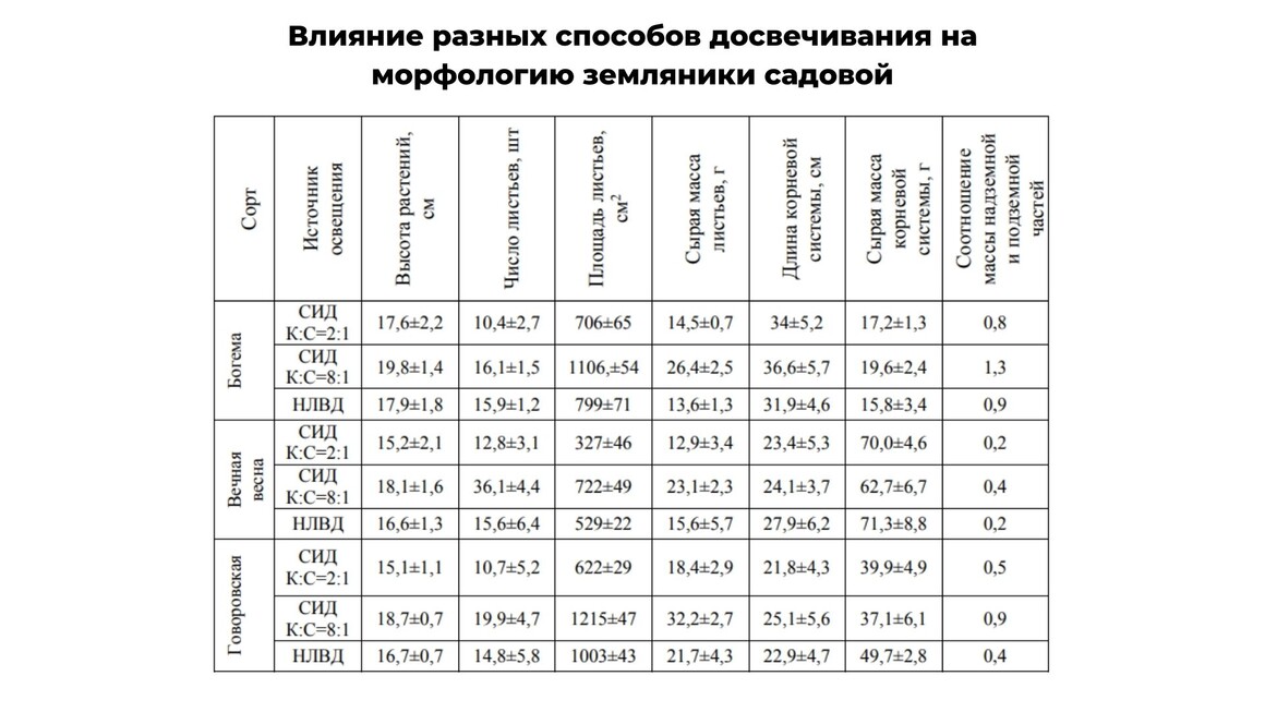 Влияние разных способов досвечивания на морфологию земляники садовой