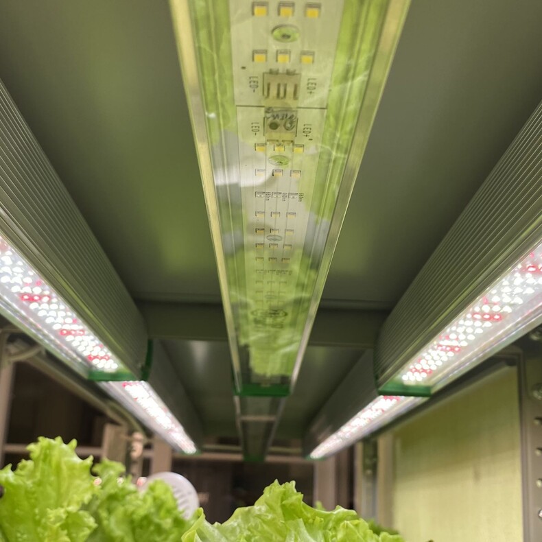 Вертикальная ферма «Танто» для выращивания салата на гидропонике